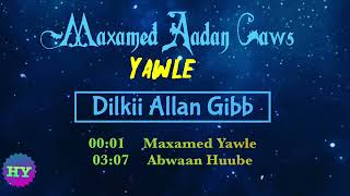 Maxamed Aadan Caws Yawle amp Abwaan Huube — Dilkii Alan Gibb [upl. by Lynch]