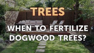 When to Fertilize Dogwood Trees [upl. by Eirotal]