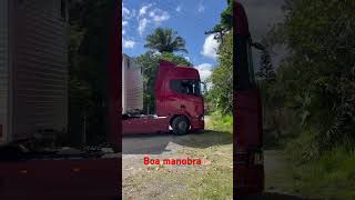 Boa manobra💪🏼🚛 caminhoneiro scaniabrasil scania scaniar450 [upl. by Sharona190]