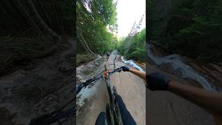 Biking down a River mountainbiking mtb [upl. by Mitch]