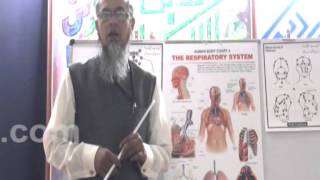 Hijama benefits Part 4 [upl. by Danell]