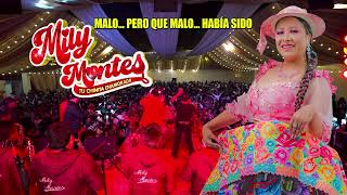 MILY MONTES Y LOS INTERNACIONALES HNOS HUALI  MALO MALO  SANTIAGO PRIMICIA 2024 [upl. by Juakn660]