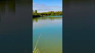 France douai lake nature naturelovers lac song coversong shortsong relaxing [upl. by Yentruoc]