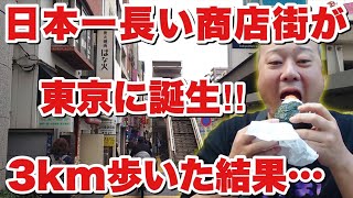 【爆誕】3kmもある日本一長い商店街！どんなお店があるか歩いてみたら予想外の結果が待っていた。【東京国際通り振興会】 [upl. by Brandie]