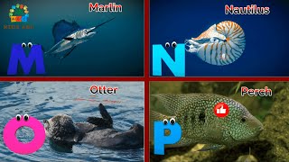 Sea Animals phonics song for toddlers Alphabet phonics song for kids Phonics Song Abcde [upl. by Xenia]