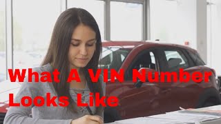 What a VIN Number Looks Like amp How do you find it on a vehicle  A simple guide [upl. by Gemoets99]