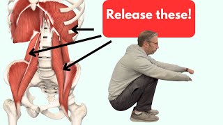 Releasing the Psoas and QL quadratus lumborum With One Exercise [upl. by Pernas]