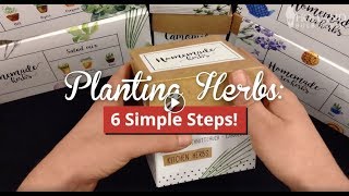 HOW TO Plant Our Herb amp Tea Indoor Garden Kits [upl. by Kcirdez]