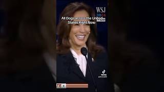 Pet Lives Matter comedy trump kamalaharris [upl. by Eirallam]