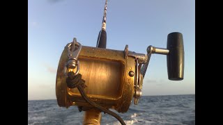 Fishing Capo Verde Sal 2010 [upl. by Safire]