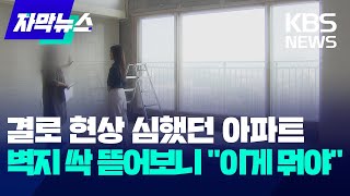 자막뉴스 결로 현상 심했던 아파트…벽지 싹 뜯어보니 quot이게 뭐야quot  KBS 20240428 [upl. by Oniratac]