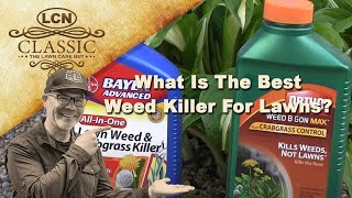 What Is The Best Weed Killer For Lawns  Best Weed Control [upl. by Rycca]