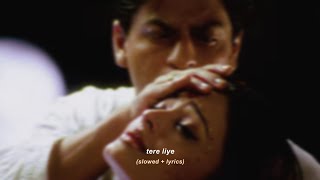 tere liye slowed  lyrics  veerzaara [upl. by Arola]