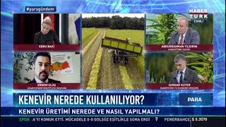 Kenevir nerede kullanılıyor  ASAM Kendir Enstitüsü Başkanı Erdem Ulaş [upl. by Aiouqes488]