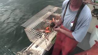 Lobstering From the Bow Seat [upl. by Eelarak32]