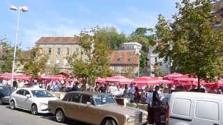 RRonTV Flea market in Zagreb CROATIA [upl. by Annodahs]