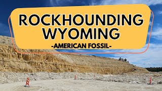 Rockhounding Wyoming  American Fossil Fish Quarry [upl. by Eyanaj262]