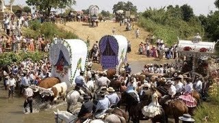 La Romería del Rocío camino a la Aldea Almonte Huelva [upl. by Idorb417]