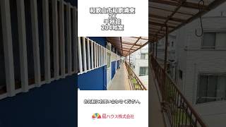 【千秋荘 204号室】 shorts 物件紹介 和歌山市 扇ハウス 扇管理サポート roomtour お部屋紹介 [upl. by Wentworth306]