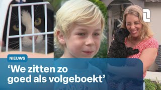 Drukte in het Dierenhotel Niet alleen de baasjes gaan er even tussenuit  L1 Nieuws [upl. by Earised172]