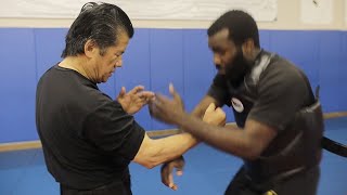 This Wing Chun Master Has CRAZY Power  Sifu Francis Fong [upl. by Ierdna691]