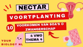 4 vwo  Voortplanting  10  Voorkomen van SOAs en zwangerschap [upl. by Rafaelia]