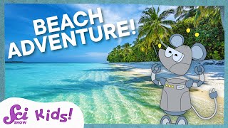 Using Our Senses to Explore the Beach  Science at the Beach  SciShow Kids [upl. by Marga]