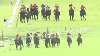 MYSTICAL MERLIN with Faiz up wins The Secunderabad Plate Div2 2024 RACE 50 [upl. by Hannover]