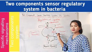 Two components sensor regulatory system in bacteria in hindi  two components system  in plants [upl. by Binah]