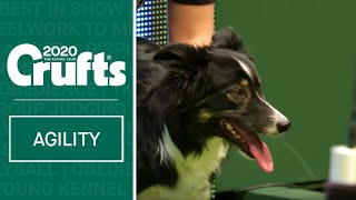 Agility  Championship Round 1  Large Jumping  Crufts 2020 [upl. by Scoter]