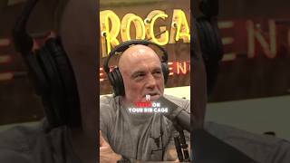 JRE  Shark Attack jre podcast jreclips joerogan [upl. by Nylra]