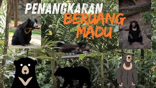 BERKUNJUNG KE PENANGKARAN BERUANG MADU 9FSPATLAS [upl. by Burton914]