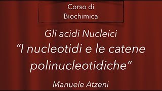 I nucleotidi Lezione 43 [upl. by Ailedroc]