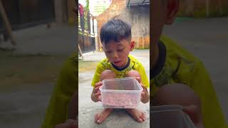 Makan makanan kucing [upl. by Sirah]