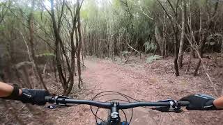 Bluetopia  Wild Mersey  Sheffield Tasmania MTB [upl. by Katherin]