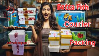 Betta Fish Courier Packing Video  Betta Rack Betta Fish Shipping [upl. by Horatius]