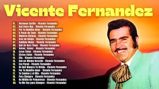 Las Mejores Canciones de Amor de Vicente Fernandez para Escuchar una y Otra Vez old exitos [upl. by Micaela231]