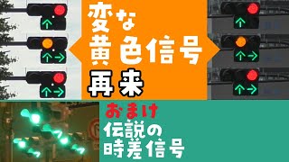 【調査不足】無意味な黄色信号を出す時差式信号が他にもあった件 ついでに右折車両分離方式の時差信号を深掘り！ [upl. by Mukund]