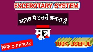 EXCEROTARY SYSTEM OUTLINE DIAGRAM  उत्सर्जन तंत्र [upl. by Ahsam]