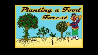 Planting trees  Adding to the food forest [upl. by Madalena340]