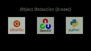 OpenCVPython Object Detection breast [upl. by Carolan]