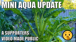 Mini Aquaponics System Update  Videos Ideas Please amp Early Spring Update [upl. by Asila]