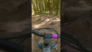 MTB💥Just keep it rolling mtb bike bikeparkwales mtbbike mtblife mtblove bikepark bikes [upl. by Saito]