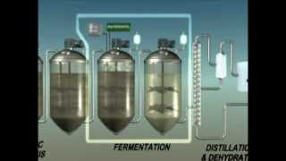 Biochemical Conversion of Biomass to Biofuels [upl. by Noyk693]