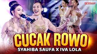 Syahiba Saufa X Iva Lola  Cucak Rowo Official Music Video  Live Version [upl. by Ttereve]