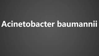 How To Pronounce Acinetobacter baumannii [upl. by Koralle369]