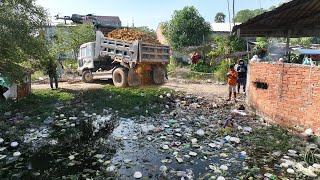 Start New Project New operation to remove sewage by earth moving truck and Will fill with soil [upl. by Akyeluz955]