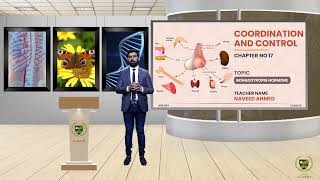 Gonadotropin Hormone  12TH BIOLOGY  CHP 17  LECTURE 24 [upl. by Eirek]