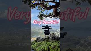 BEAUTIFUL LANDSCAPE BONSAI [upl. by Eceinert]