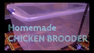 Homemade Chicken Brooder [upl. by Yenduhc]